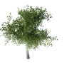 low_poly_tree_export.png