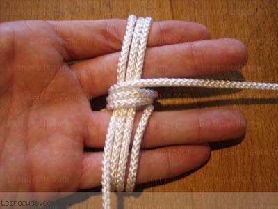 touline2.jpg touline2.jpg