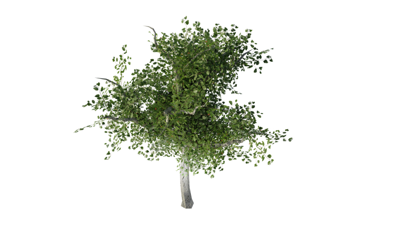low_poly_tree_export.png low_poly_tree_export.png