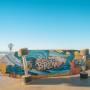 firefly_-_point_break_skateboard_-light.jpg