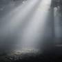 flux_2_-lighting_-volumetric_fog.jpg